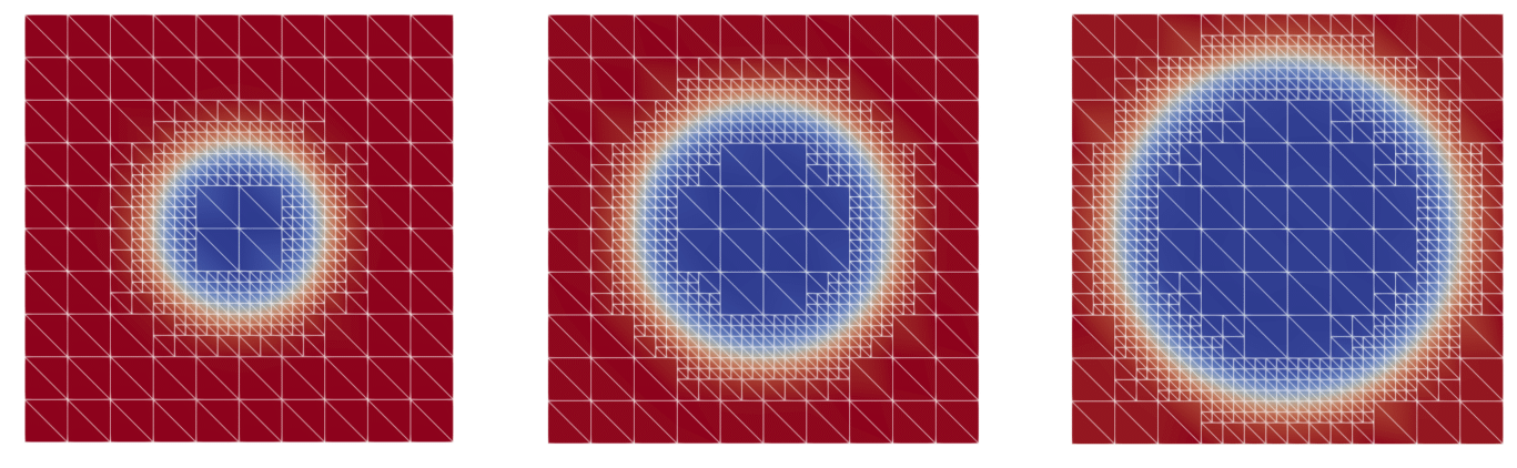 Adaptive mesh refinement in the micro simulation